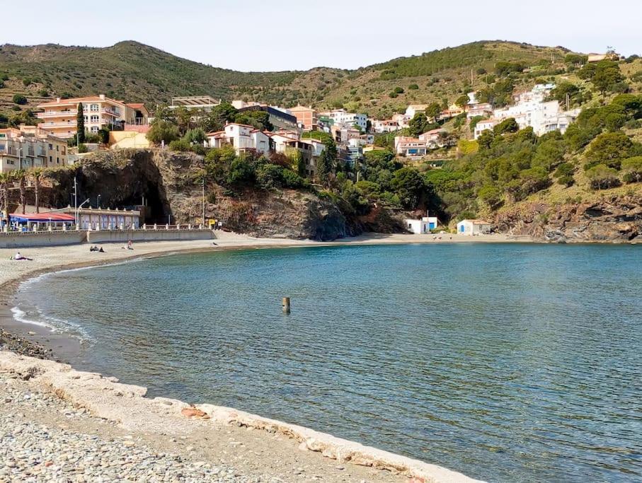Paraiso De La Costa Brava 波尔特沃 外观 照片